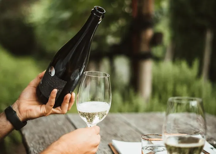 Ottmanngut And Breakfast 3* Meran