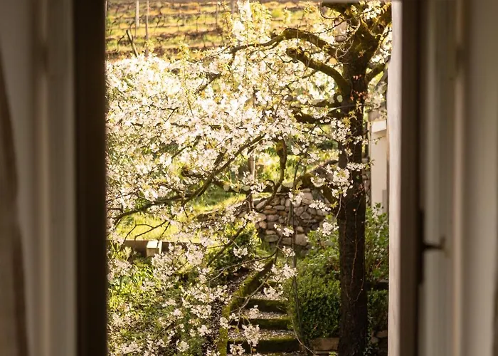 Hotel Ottmanngut And Breakfast