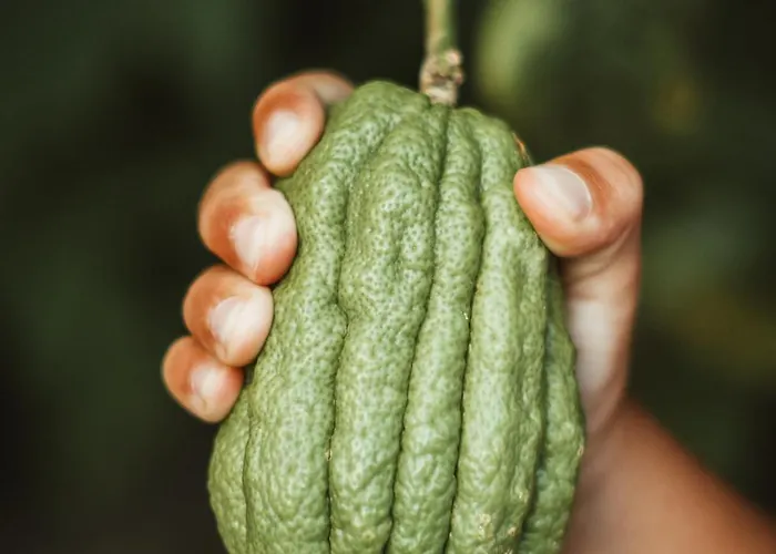 Ottmanngut And Breakfast Hotel 3*